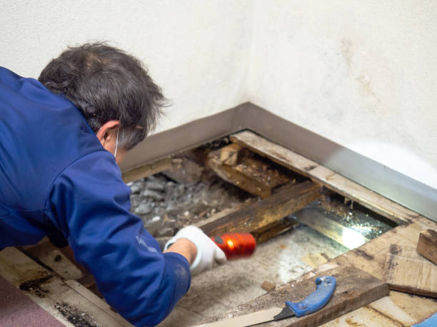 Water Damage Restoration in North Manchester, IN