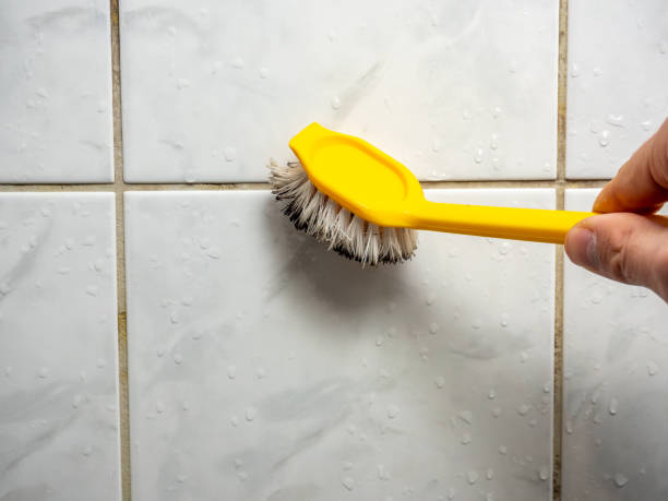 Best Residential Mold Removal  in North Manchester, IN