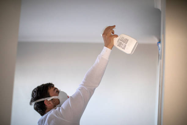 Best Mold Removal and Inspection  in North Manchester, IN
