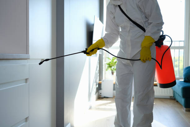 Best Home Mold Removal  in North Manchester, IN