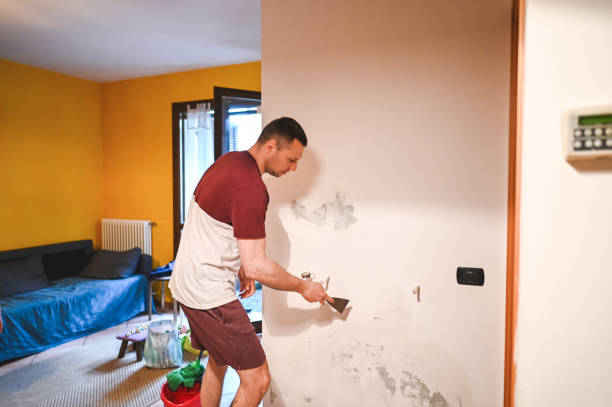 Best Best Mold Removal Companies  in North Manchester, IN